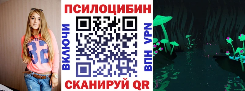 наркошоп Дубовка Псилоцибиновые грибы Psilocybe